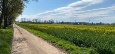 Ein frisch aufgearbeiteter Feldweg. 